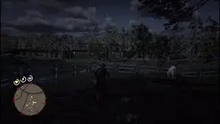 RDR2 WTF Moments