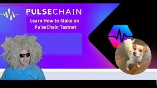 How to Stake TPLS on PulseChain Testnet - Get Free TPLS and ORCD