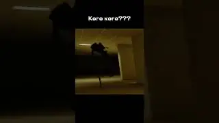 Наивная щучка 🐒#game #backrooms #юмор #шуточное #смешнойшортс #bome #gaming #memes