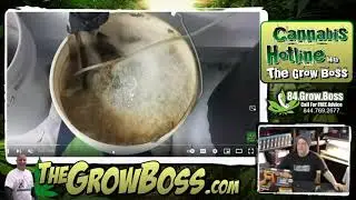 Grow boss- @medically fit response video- someone doesnt know how to grow