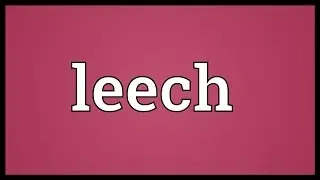 Leech Meaning