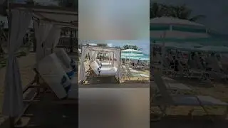 CARNIVAL |Thumb Suckers| Champagne Tastes| Kool Aid POCKETBOOKS