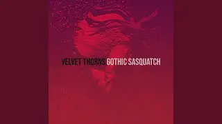 Velvet Thorns