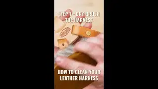 How to refresh your camera harness in 5 steps 📸...