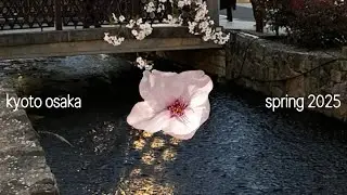spring diaries &mdash; kyoto & osaka