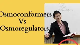 osmoconformers vs osmoregulators|Fsc 12|Genetics and biology