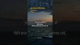 Surah Hashor Last 3 Ayat Bangla translation #islamicvideo #qurantilawat #viralshorts #surah_sangrah