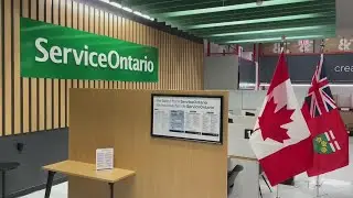 ServiceOntario employees allegedly behind massive auto theft ring, police say