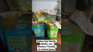 Oxbow hay blended: what to feed your bunny