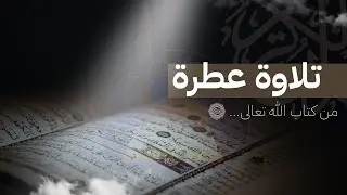 سورة الجاثية للقارئ / ريان المفرج 