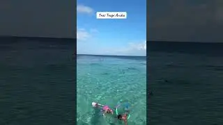 #aruba #arubavacationtips #onehappyisland #snorkeling