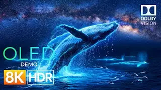 Dreamscape OLED Demo HDR 8K Ultra HD Dolby Vision&trade; 60fps