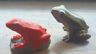 Master Manifester: Creating my own Magic (Dart Frog Power= Keep my name out of your mouth)
