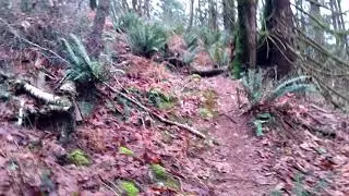Ravens Bluff Hiking Trail Dewdney BC