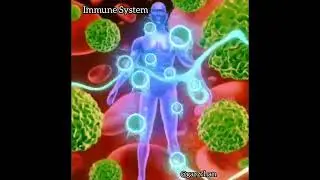 Light Language for Immune System - Garz Chan