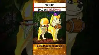 💎🅽🅵🆃 Pet dog NFT sold for $242,200 (Bored Ape Kennel Club) || NFT Markeetplace