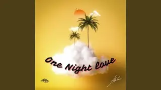 One Night Love