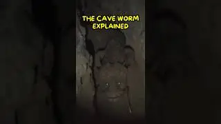 Они нашли это в пещере😨