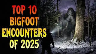 Top 10 Bigfoot Encounters of 2025: | Police and Truckers Speak Out