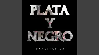 Plata y Negro