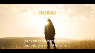 Finding Your Ikigai: An Overview of the Bestselling Book