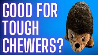Review: Outward Hound Kyjen Hedgehogz Squeak Toy for Dogs