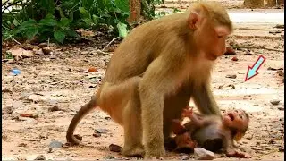 OMG.! Loudly Crying..Why Mum Make Me Cry? REX Angry Mum ! Rex so Strong & Strange with Scaring.