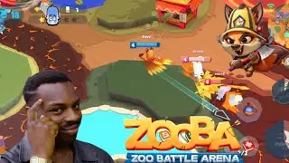 Zooba Squad Domination 🔥 No Mercy
