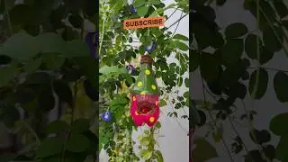 DIY Bird House Craft From Waste Plastic Bottle 🐦