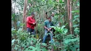 ESCRIMADORS HAVING FUN WITH FRIENDS IN THE RAIN FOREST