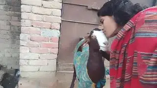 Munakka gate kholane❤️ Aya #babli vilogs 👍💞🫵