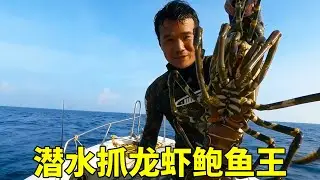 阿锋赶海火力全开，潜水抓龙虾鲍鱼王，成功迎来大丰收【探海漁人】