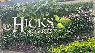 HICKS NURSERIES 🌸TOUR OF LONG ISLANDS LARGEST NURSERY🌳GRAND REOPENING SALE🤗ANNUAL FALL FESTIVAL🎃