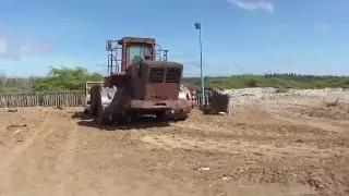 Are We Wasting The Caribbean?