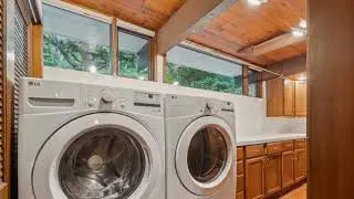 11428 PURPLE BEECH