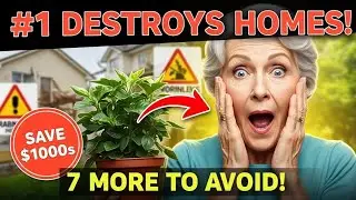 7 Most Dangerous Plants You Should Never Buy from Nurseries (Plus Safer Alternatives)