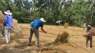 Simple Life &ndash; Rural Living & Rice Farming in Vietnam