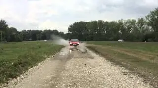 IMG 1548