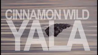 Cinnamon Wild Yala - kids will remember this one night forever!