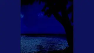 ocean nights
