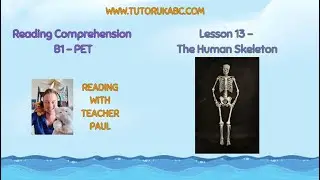 Reading Comprehension - B1 - Lesson 13 - The Human Skeleton