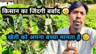 किसान जिंदगी बर्बाद 🤕||  खेतीकोअपनाबच्चामानताहै 😥|| #mohitmundablogs 