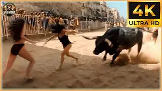 Craziest Animal Attacks Ever Caught On Camera | Amazing Animals #67