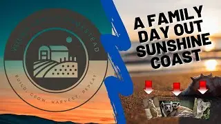 Sunshine Coast Family Adventure Day Wildlife HQ, For Photography & A Beach Trip -FARM DAILY VLOG 011