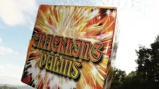 Tschechencake Crackling Palms PANTA PYROTECHNIK