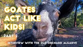 Interview with The Old Orchard Farm Algarve, Monchique Portugal (Part 2)