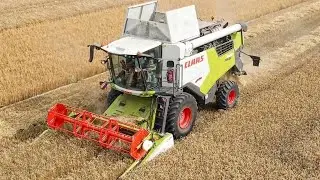 TRION 640 VS 4M HEDER :O🔥ŻNIWA PSZENICY 2023🔥CLAAS & SCANIA