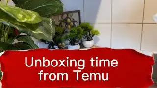 Let unboxing my kitchen  staff from Temu