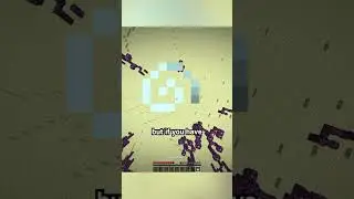shulker vs chorus fruit