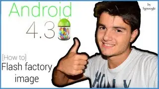 [How To] Flash Android 4.3 Jelly Bean factory image sul proprio Nexus!